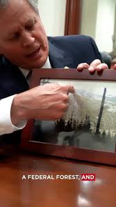 Senator Steve Daines