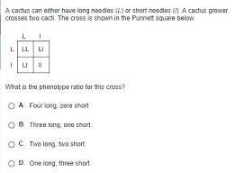 Four long, zero short o c. X2 Please Help Biology Brainly Com