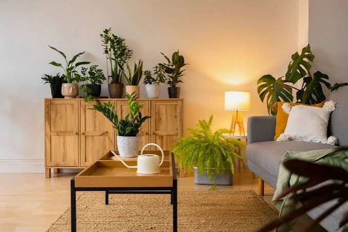The Evolution of Sustainable Furniture Design - JD Institute