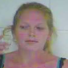 Large marijuana plants found