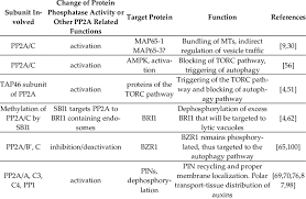 What is plant cell ? Examples For The Involvement Of Pp2a Pp1 In Vesicle Traffic Of Plant Download Scientific Diagram