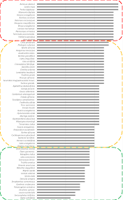 Image result for Agelanthus terminaliae
