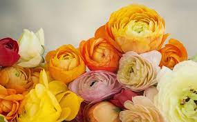 Check spelling or type a new query. Staten Island Florist Flower Delivery By Flowers By Bernard