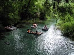 149 reviews of kelly park wekiwa springs nearby is nice, but rock springs is one of the greatest places on earth. Rock Springs Run At Kelly Park Fun 4 First Coast Kids
