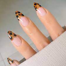 Orla Taylor On Instagram I Love Heart Shaped Tips I Loveee Tortoiseshell Nails So Of Course This Had To Happen Nails Fall Acrylic Nails Fashion Nails