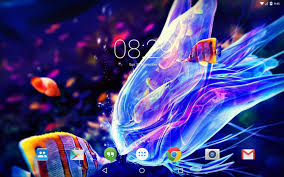 With just 3 easy steps your device's background will look . Jellyfish Medusa Live Wallpaper Apk Thing Android S Hd Wallpapers Sea Life 1440x900 Wallpaper Teahub Io