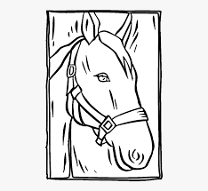 Most gray horses have black skin and dark eyes; Horse Head Coloring Pages Mane Hd Png Download Kindpng