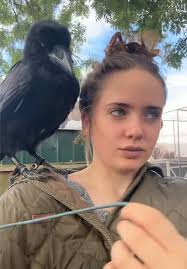 Girl and Raven Bird