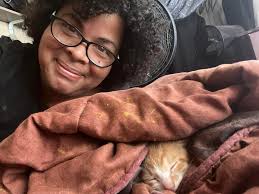 The cat distribution system 🐱🐾