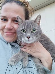 Is this cat near Woodhills anyone's missing pet?