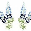 Like the pattern but last outline stitch over and around the flowers was a bit too much. Https Encrypted Tbn0 Gstatic Com Images Q Tbn And9gcs6moh8sldftciqpk Rfphbktj7kjm Ktcuufs3 7zhwhoaumfi Usqp Cau