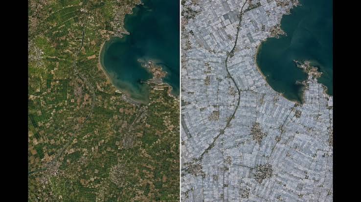 China, 1987–2024: NASA images show more than 820 square kilometres of farmland transformed by the world's largest cluster of plastic greenhouses
