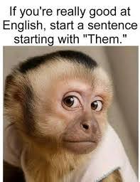 Awilda Cotto's Instagram, Twitter & Facebook