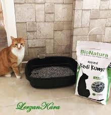 bionatura saglikli kedi kumu kedi kina saglikli