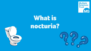 Image result for Nocturia