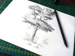 Această pagină este o comunitate unde fiecare care are aceași pasiune ca și noi , își exprimă sentimentele, părerile Tree Pencil Drawing On Paper How To Draw A Tree