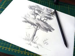 Colorați personajele iubite în creion sau vopsele. Tree Pencil Drawing On Paper How To Draw A Tree