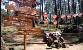 Hutan pinus pal 16 cikole. Ada Apa Di Wisata Grafika Cikole Lembang Bandung Lazuva