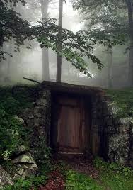 Secret Door In The Woods Landscape Nature Forest