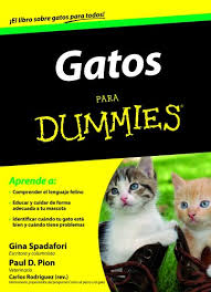 Contabilidad Y Finanzas Soldier Dummies Finanzas Para Dummies Descargar Gratis