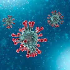 While many people put traveling on pause to shelter in place and prevent the spread of the virus, others found new reasons to look for lodging bey. Coronavirus Fact Sheets Yale Medicine