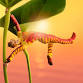 CIRQUE DU SOLEIL AT THE ROYAL ALBERT HALL event image