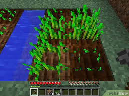 There is no discernible difference in farming behavior regardless of time of day. How To Start An Animal Farm On Minecraft 13 Steps With Pictures