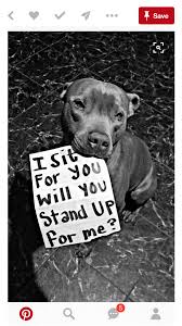 Stop Animal Cruelty Pitbulls Dogs Bully Breeds
