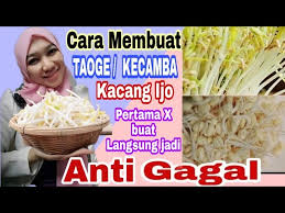 Berikut ini merupakan cara membuat virtual memory atau pagefile.sys di windows 10: Cara Membuat Taoge Kecamba Anti Gagal Youtube