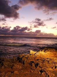 Turtle Bay Oahu Wikipedia