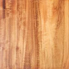 Image result for Xylia torreana