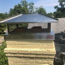 Being quiet and patient during the process will help coax the bird where you want it to go so you can get it out of the house, back outdoors, safe and happy once again. Installing A Chimney Cover To Stop Birds And Other Ways To Keep Birds Out