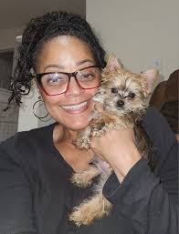 Introduction and photo of a boston terrier