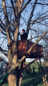 Stana Drinking Wine In A Treehouse Tree House Wine Drinks Pictures