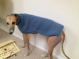 We did not find results for: Ravelry Whippets And Greyhound Sweaters Pattern By Sandra Polley