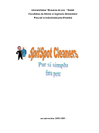 Ca orice afacere si o spalatorie auto are propriile particularitati. Plan Afaceri Curatatorie