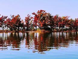 The citizen support organization (cso) group's mission is to identify and promote activities to conserve, enhance and interpret the park's natural, cultural. Occoneechee State Park A Virginia State Park