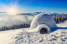 Image result for igloo