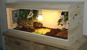 Terrarium Tortue Testudo Hermanni Boettgeri Piwiblackpearl Terrarium Tortue Terrarium Reptile Maison Tortue