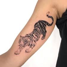 Posted by soma sekhar at 3:26 am. Tiger Tattoos Placement Tiger Tattoo Styles Ideas