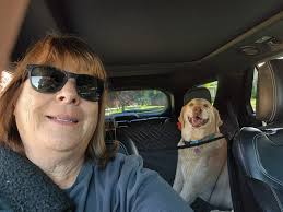 Pet friendly RCI resorts search tips