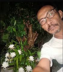 Bunga wijayakusuma atau yang memmiliki nama latin epiphyllum oxypetalum termasuk salah satu jenis tanaman kaktus yang mempunyai golongan dicotiledoneae. Jempolindo News Bunga Wijaya Kusuma Antara Mitos Dan Fakta