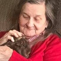 Sandra Ann St. Peter Obituary