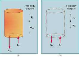 Archimedes Principle College Physics