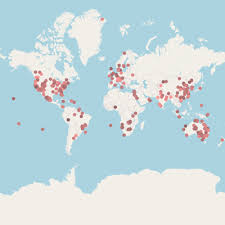 Image result for Lotononis angolensis