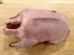 When you get a chill, your skin will form these dumb. Why Are Goosebumps Called Goose Bumps In English Quora