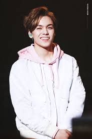 Do We Have The Same Bias Vernon Seventeen Seventeen Seventeen Kpop