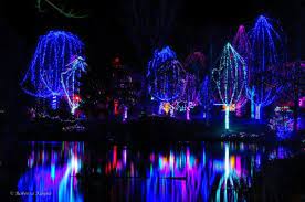 Phoenix Zoo Night Lights Zoo Night Light Lights