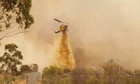 The wa election issue mark mcgowan can't shake off. Perth Bushfire Australia Tells Thousands To Leave Homes Gulftoday