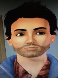 My Sims 3 Stories